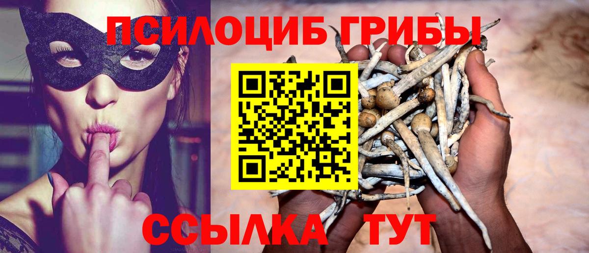 Галлюциногенные грибы Cubensis Новотроицк