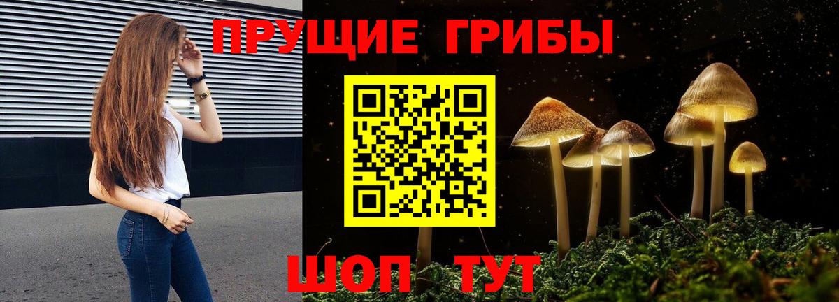 Новотроицк  Псилоцибиновые грибы мицелий  Вход с VPN 